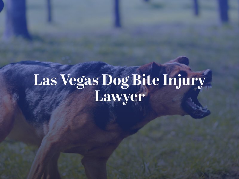 Las Vegas Dog Bite Injury Attorney Dog Bite Victim Legal Help Las Vegas Dog Bite Injury Attorney Dog Bite Victim Legal Help